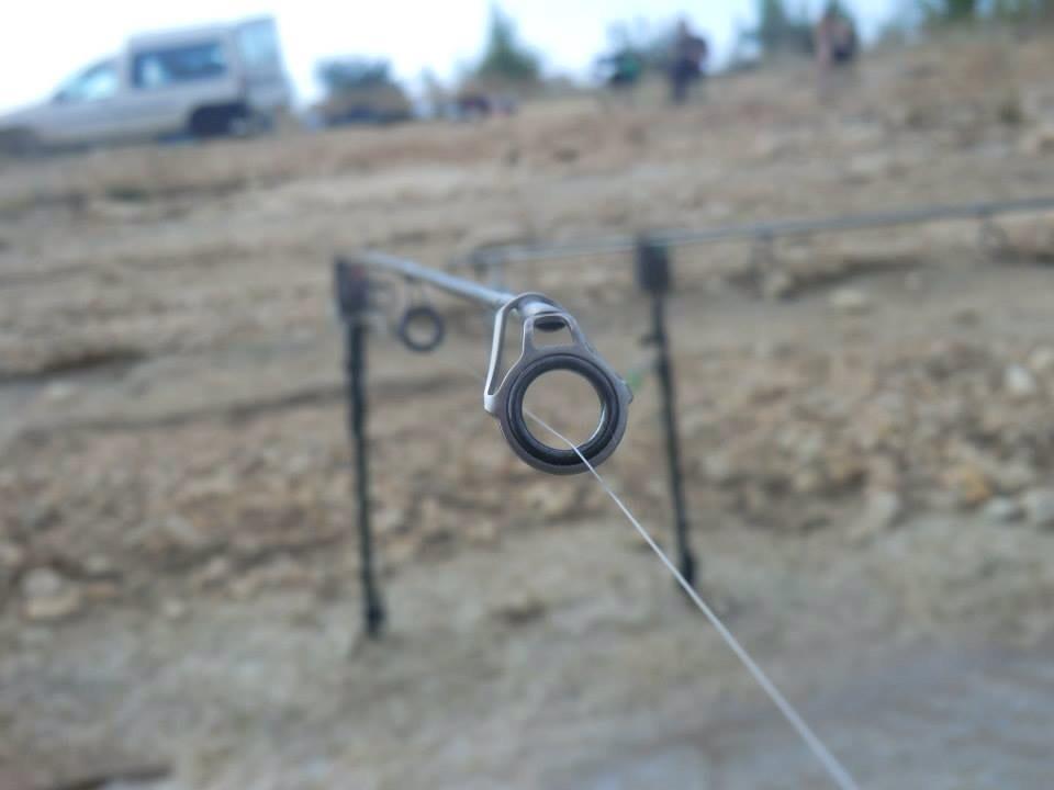 2013 - 3 - image11111.jpg